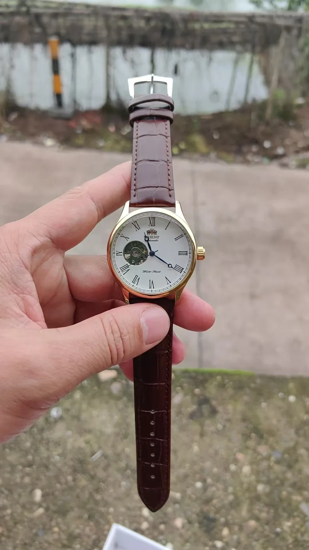Relógio Mecânico Esqueleto DFD - Seiko Watch Presage avaliação e preço
