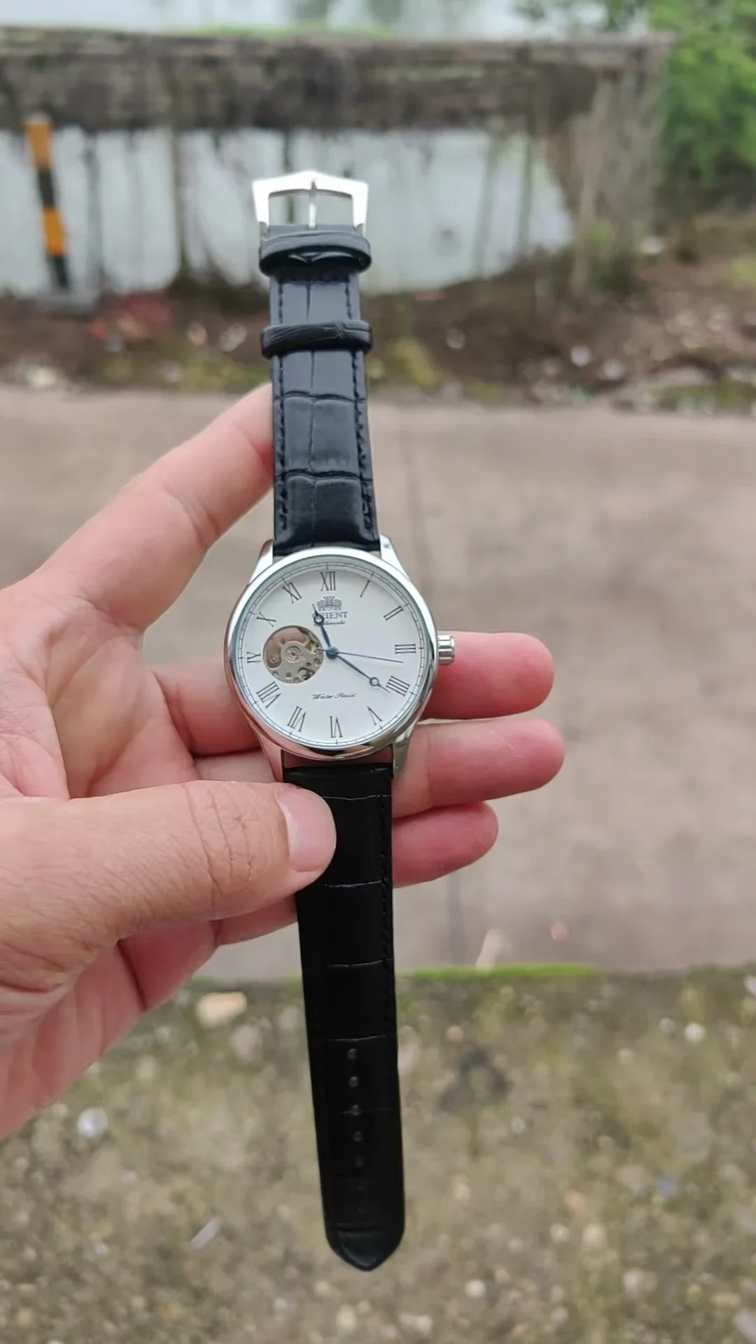 Relógio Mecânico Esqueleto DFD - Seiko Watch Presage avaliação e preço